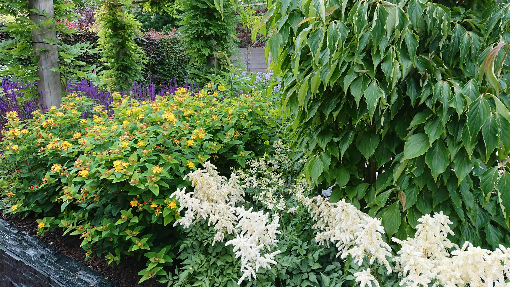 Houd je tuin mooi met het tuin onderhoud van Marc Tuinen